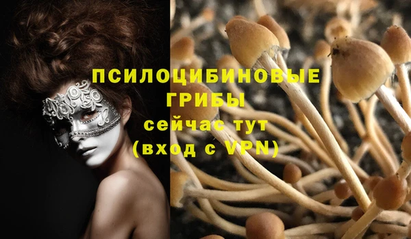 МДМА Беломорск